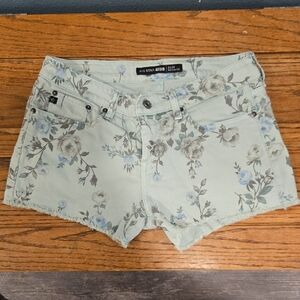 Big Star Women's Floral Blue-Green Jean Shorts